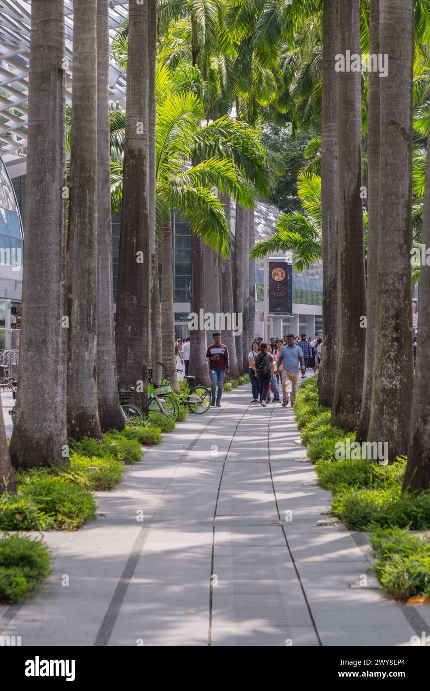 Avenue des arbres Marina Bay Sands Garden Park Banque D'Images