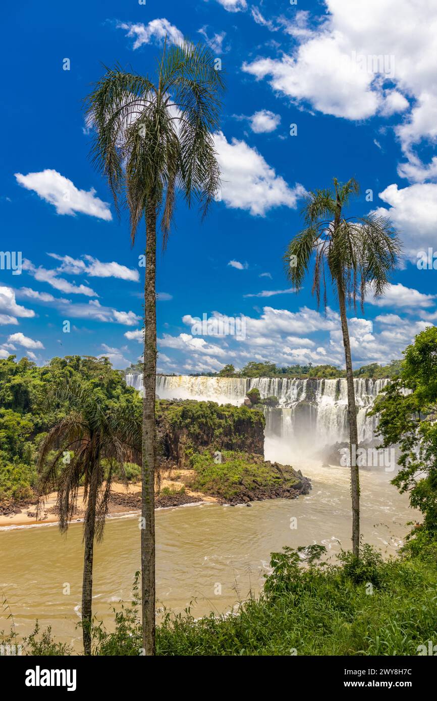 Cascade d'Iguazu en Argentine nad Brésil. Iguassu tombe en climat tropical dans la jungle verte. Ruisseau en cascade sur la rivière Iguazu, cataratas Iguasu Banque D'Images