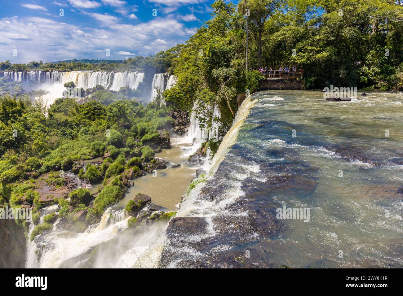 Cascade d'Iguazu en Argentine nad Brésil. Iguassu tombe en climat tropical dans la jungle verte. Ruisseau en cascade sur la rivière Iguazu, cataratas Iguasu Banque D'Images