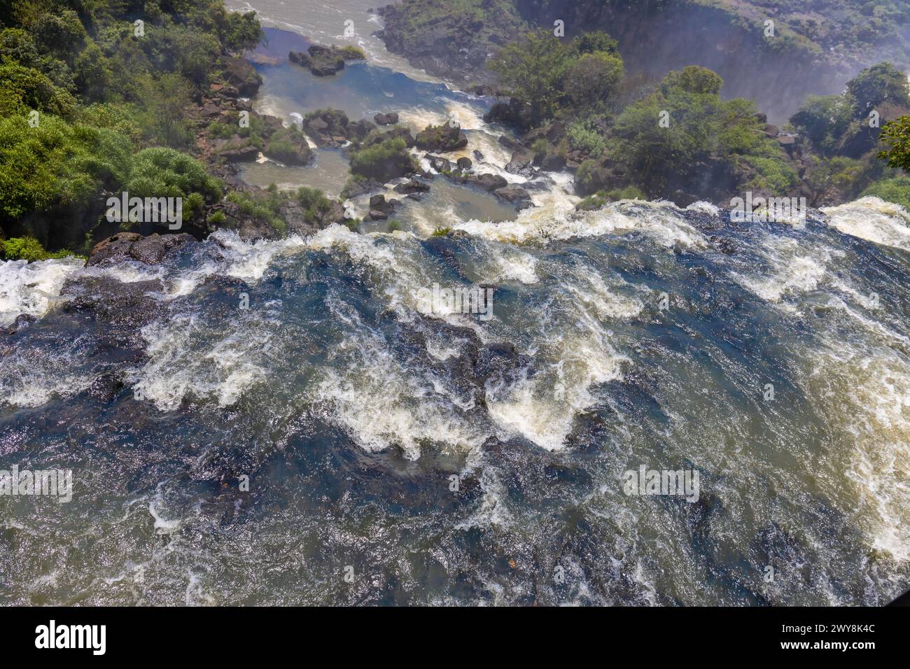 Cascade d'Iguazu en Argentine nad Brésil. Iguassu tombe en climat tropical dans la jungle verte. Ruisseau en cascade sur la rivière Iguazu, cataratas Iguasu Banque D'Images