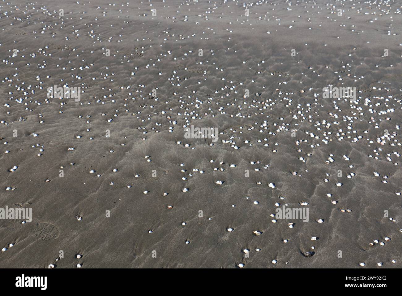 Toutes les textures trouvées près de Beach Pier Like Old Boat, Sand, Moss, Broken Concrete, Painted Metals, pavés, empreintes de pieds Banque D'Images
