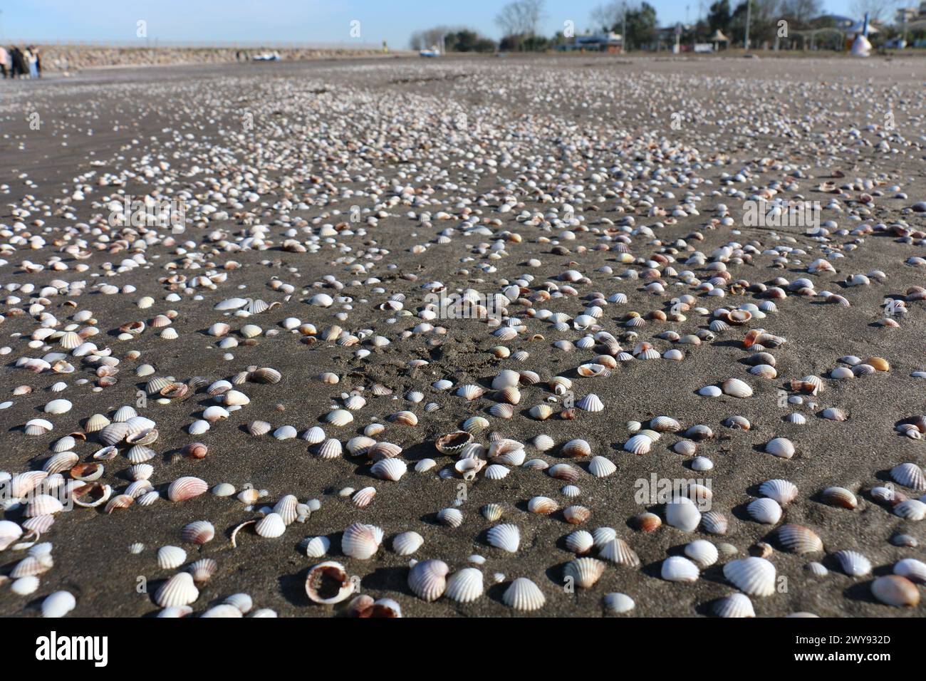 Toutes les textures trouvées près de Beach Pier Like Old Boat, Sand, Moss, Broken Concrete, Painted Metals, pavés, empreintes de pieds Banque D'Images