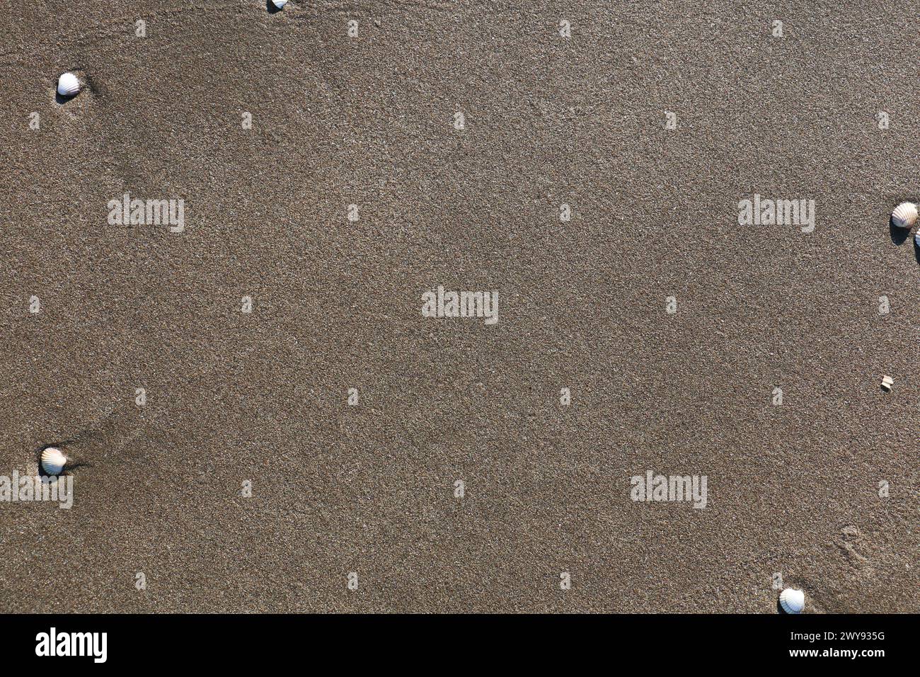 Toutes les textures trouvées près de Beach Pier Like Old Boat, Sand, Moss, Broken Concrete, Painted Metals, pavés, empreintes de pieds Banque D'Images