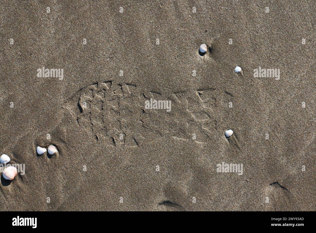 Toutes les textures trouvées près de Beach Pier Like Old Boat, Sand, Moss, Broken Concrete, Painted Metals, pavés, empreintes de pieds Banque D'Images