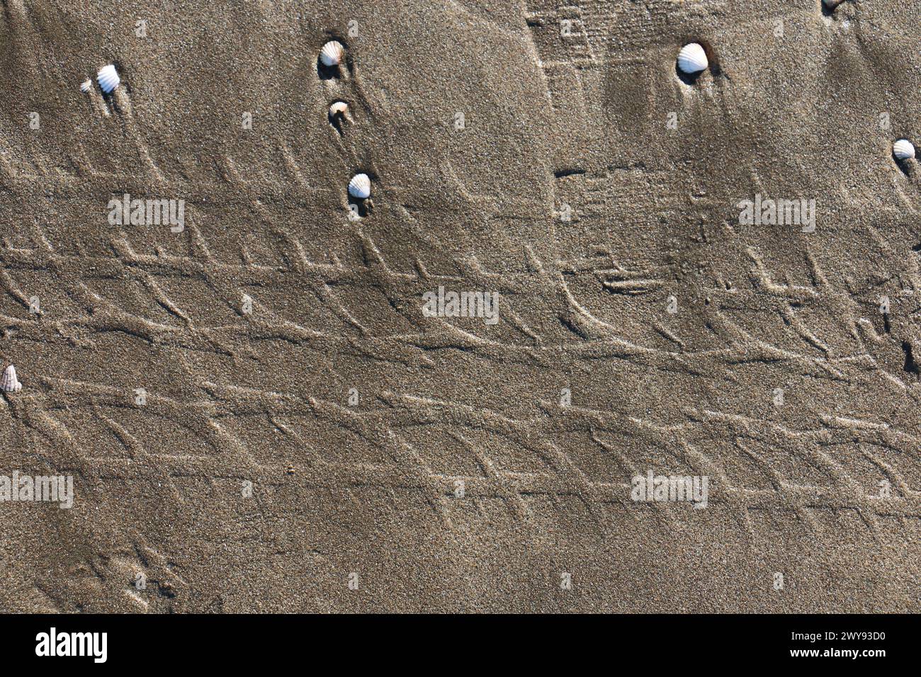 Toutes les textures trouvées près de Beach Pier Like Old Boat, Sand, Moss, Broken Concrete, Painted Metals, pavés, empreintes de pieds Banque D'Images