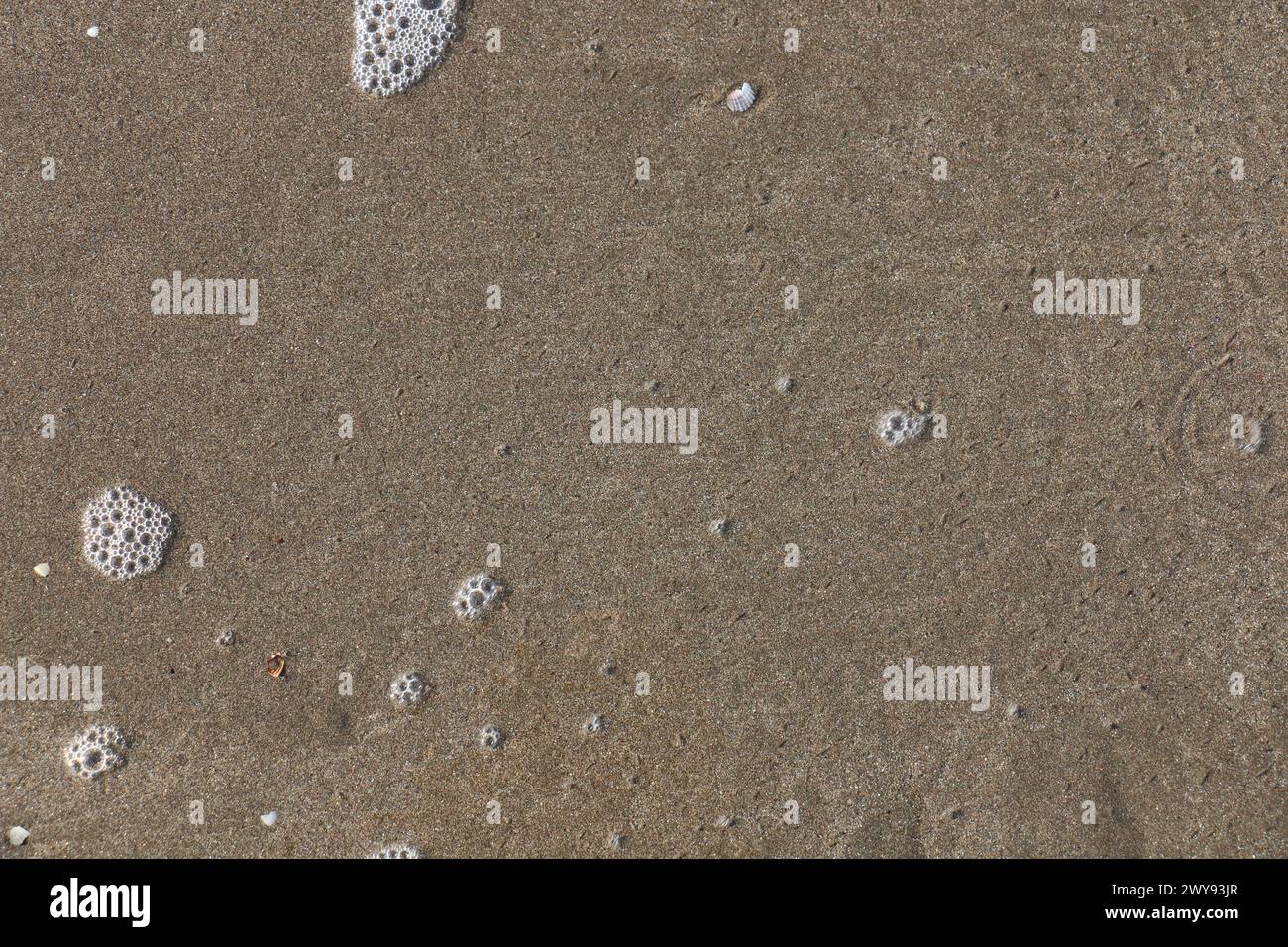 Toutes les textures trouvées près de Beach Pier Like Old Boat, Sand, Moss, Broken Concrete, Painted Metals, pavés, empreintes de pieds Banque D'Images