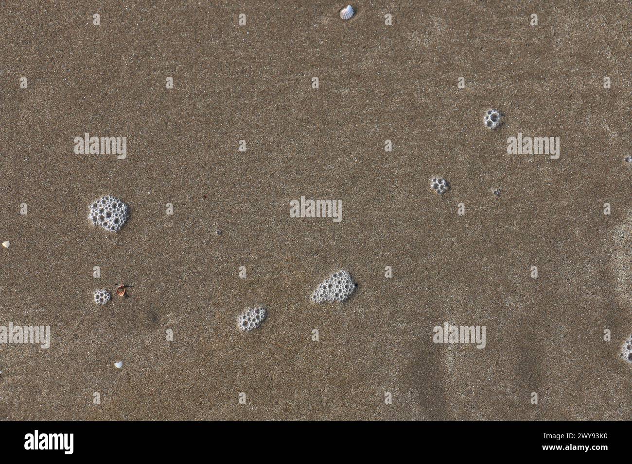 Toutes les textures trouvées près de Beach Pier Like Old Boat, Sand, Moss, Broken Concrete, Painted Metals, pavés, empreintes de pieds Banque D'Images