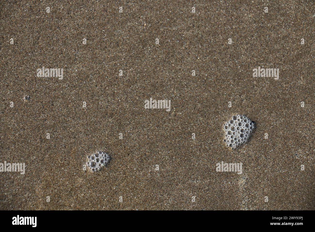 Toutes les textures trouvées près de Beach Pier Like Old Boat, Sand, Moss, Broken Concrete, Painted Metals, pavés, empreintes de pieds Banque D'Images