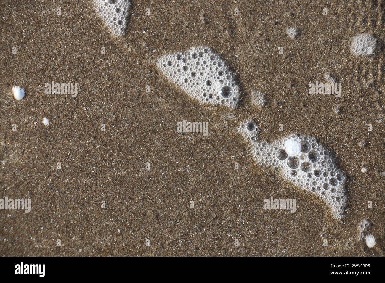 Toutes les textures trouvées près de Beach Pier Like Old Boat, Sand, Moss, Broken Concrete, Painted Metals, pavés, empreintes de pieds Banque D'Images
