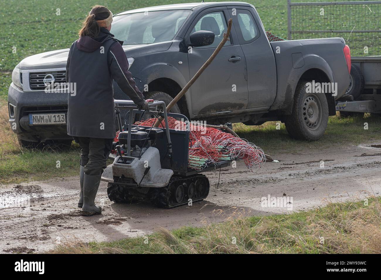 Jeune bergère apporte les clôtures restantes à la camionnette, Mecklenburg-Vorpommern, Allemagne Banque D'Images