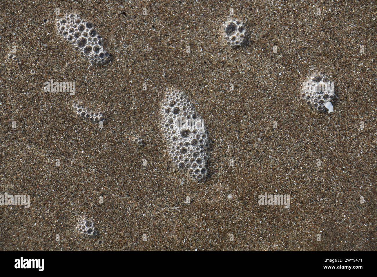 Toutes les textures trouvées près de Beach Pier Like Old Boat, Sand, Moss, Broken Concrete, Painted Metals, pavés, empreintes de pieds Banque D'Images