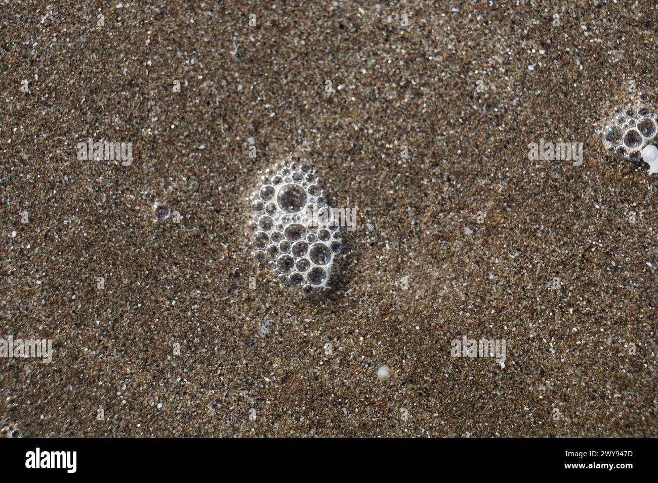 Toutes les textures trouvées près de Beach Pier Like Old Boat, Sand, Moss, Broken Concrete, Painted Metals, pavés, empreintes de pieds Banque D'Images