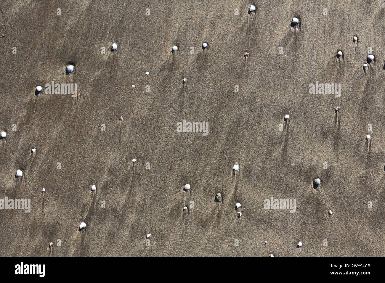 Toutes les textures trouvées près de Beach Pier Like Old Boat, Sand, Moss, Broken Concrete, Painted Metals, pavés, empreintes de pieds Banque D'Images