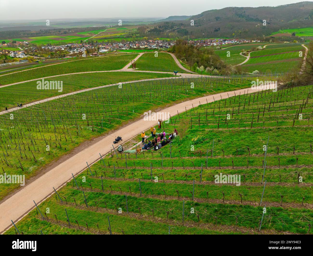 Groupe de personnes et de cyclistes en conversation sur une route menant à travers les vignobles, Jesus Grace Chruch, Weitblickweg, randonnée de Pâques, Hohenhaslach, Allemagne Banque D'Images