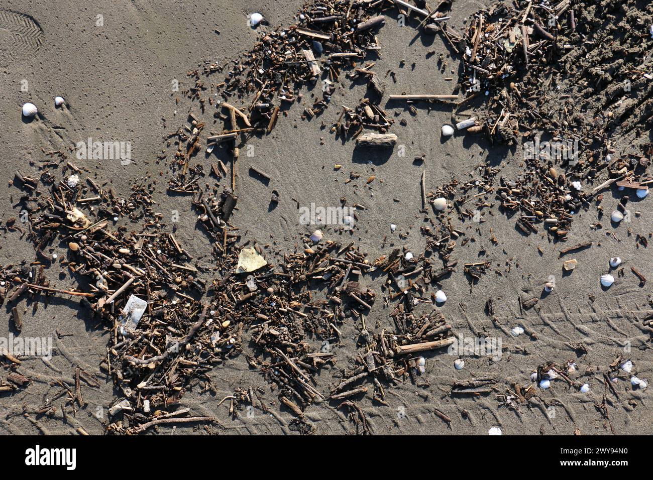Toutes les textures trouvées près de Beach Pier Like Old Boat, Sand, Moss, Broken Concrete, Painted Metals, pavés, empreintes de pieds Banque D'Images