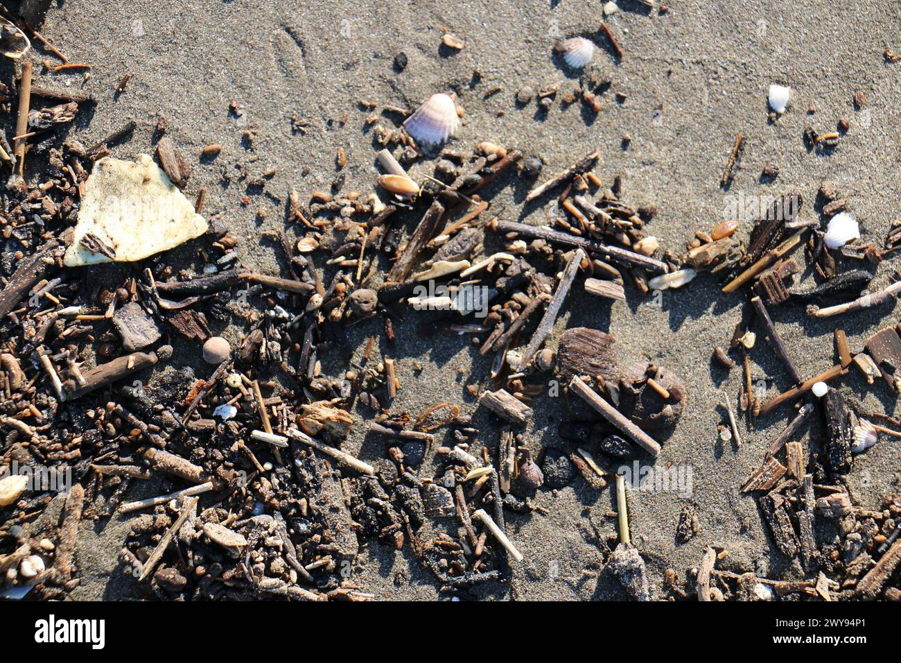 Toutes les textures trouvées près de Beach Pier Like Old Boat, Sand, Moss, Broken Concrete, Painted Metals, pavés, empreintes de pieds Banque D'Images