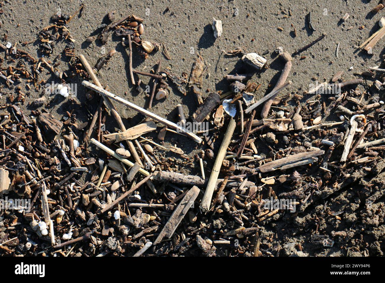 Toutes les textures trouvées près de Beach Pier Like Old Boat, Sand, Moss, Broken Concrete, Painted Metals, pavés, empreintes de pieds Banque D'Images