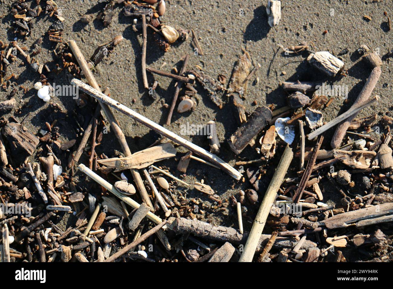 Toutes les textures trouvées près de Beach Pier Like Old Boat, Sand, Moss, Broken Concrete, Painted Metals, pavés, empreintes de pieds Banque D'Images