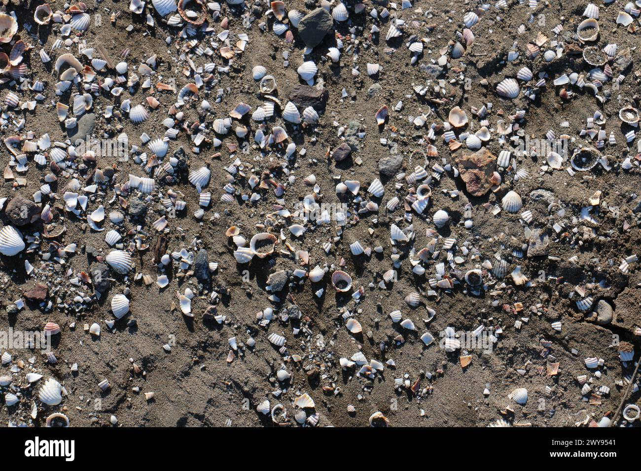 Toutes les textures trouvées près de Beach Pier Like Old Boat, Sand, Moss, Broken Concrete, Painted Metals, pavés, empreintes de pieds Banque D'Images