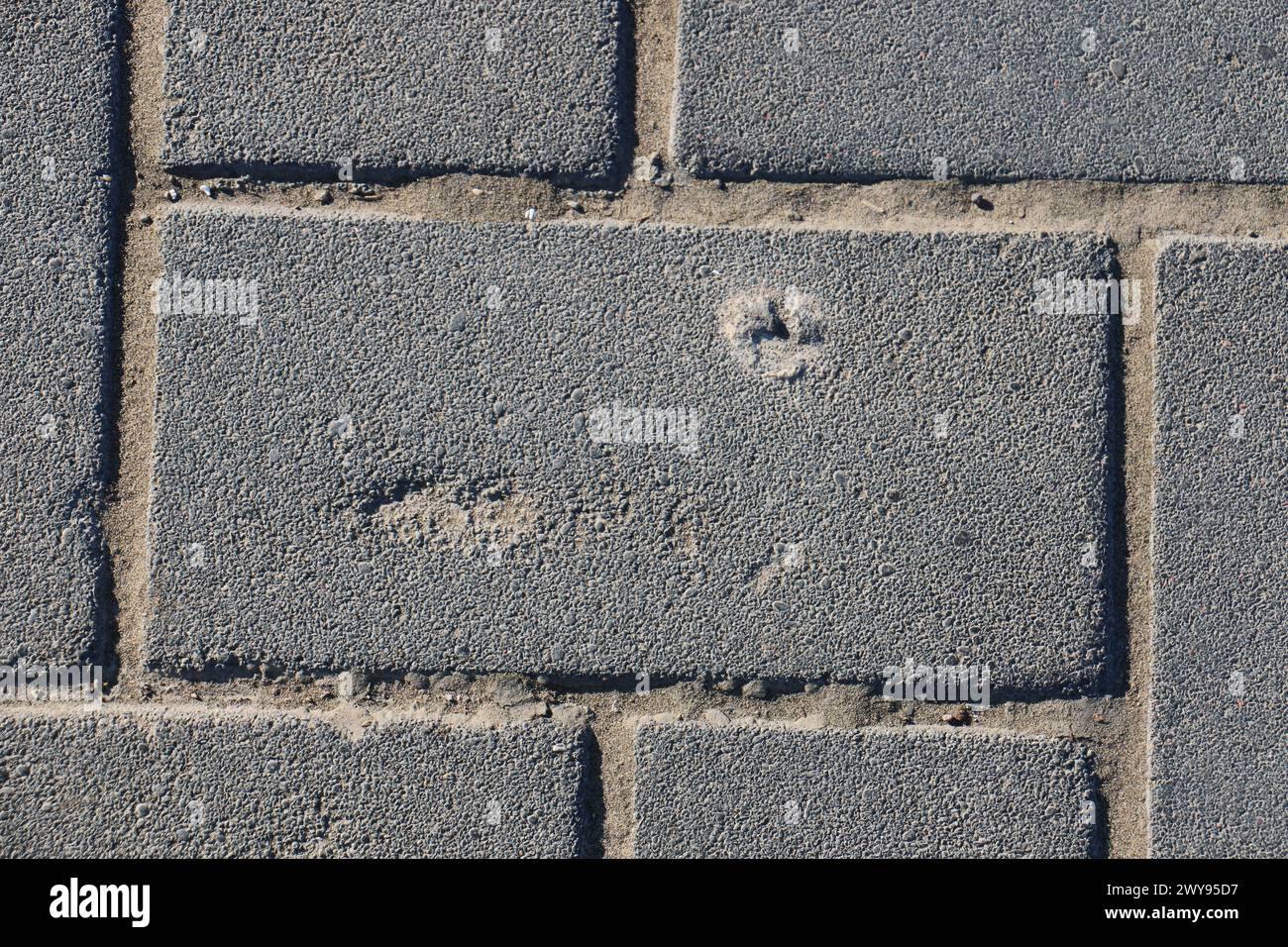 Toutes les textures trouvées près de Beach Pier Like Sand, Moss, Broken Concrete, Painted Metals, Cobblestones, métal rouillé, béton fissuré, béton peint. Banque D'Images