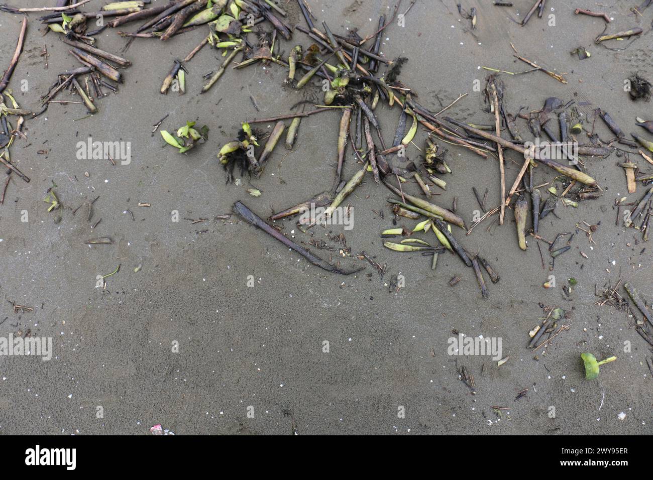 Toutes les textures trouvées près de Beach Pier Like Old Boat, Sand, Moss, Broken Concrete, Painted Metals, pavés, empreintes de pieds Banque D'Images