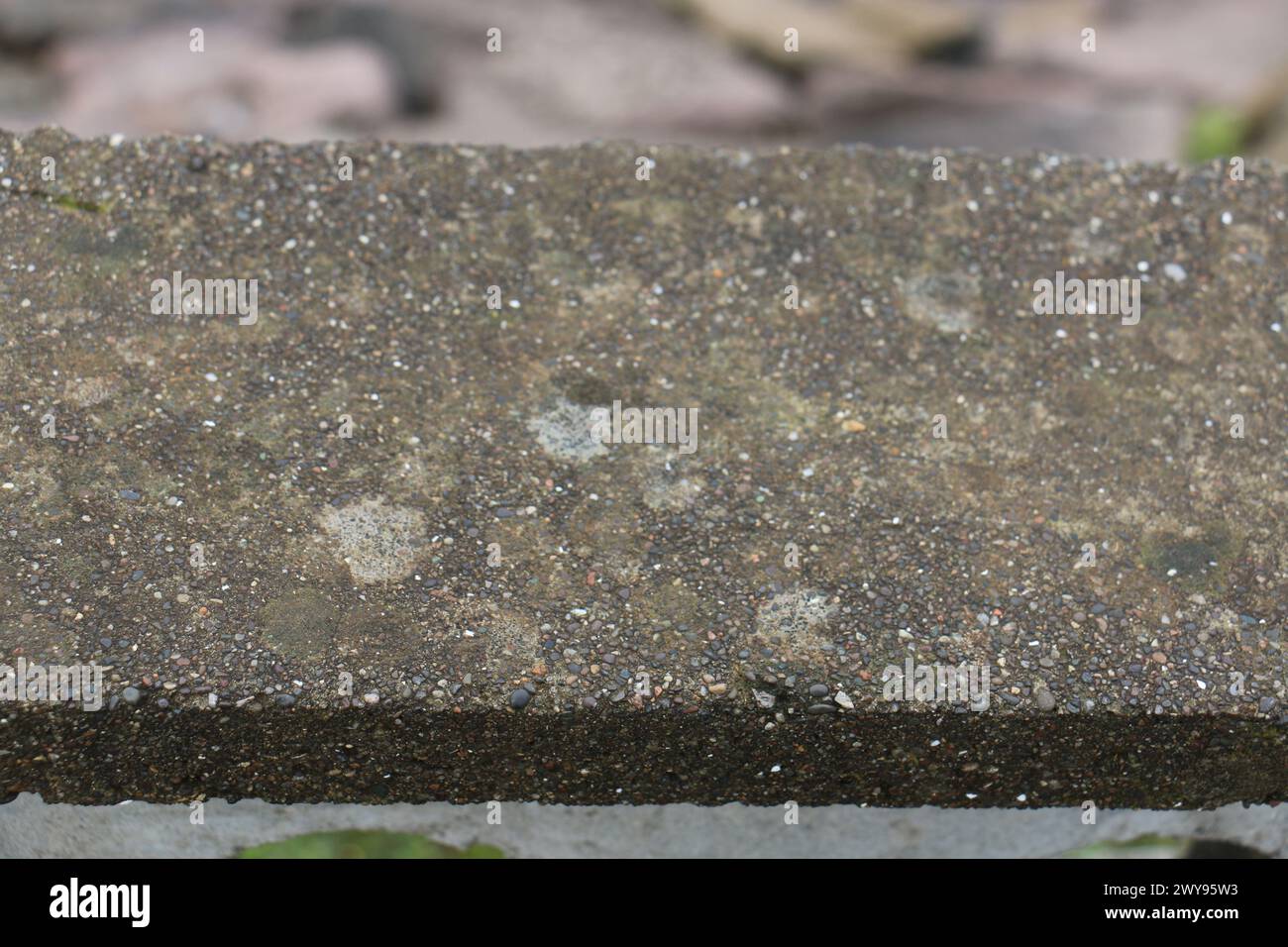 Toutes les textures trouvées près de Beach Pier Like Sand, Moss, Broken Concrete, Painted Metals, Cobblestones, métal rouillé, béton fissuré, béton peint. Banque D'Images