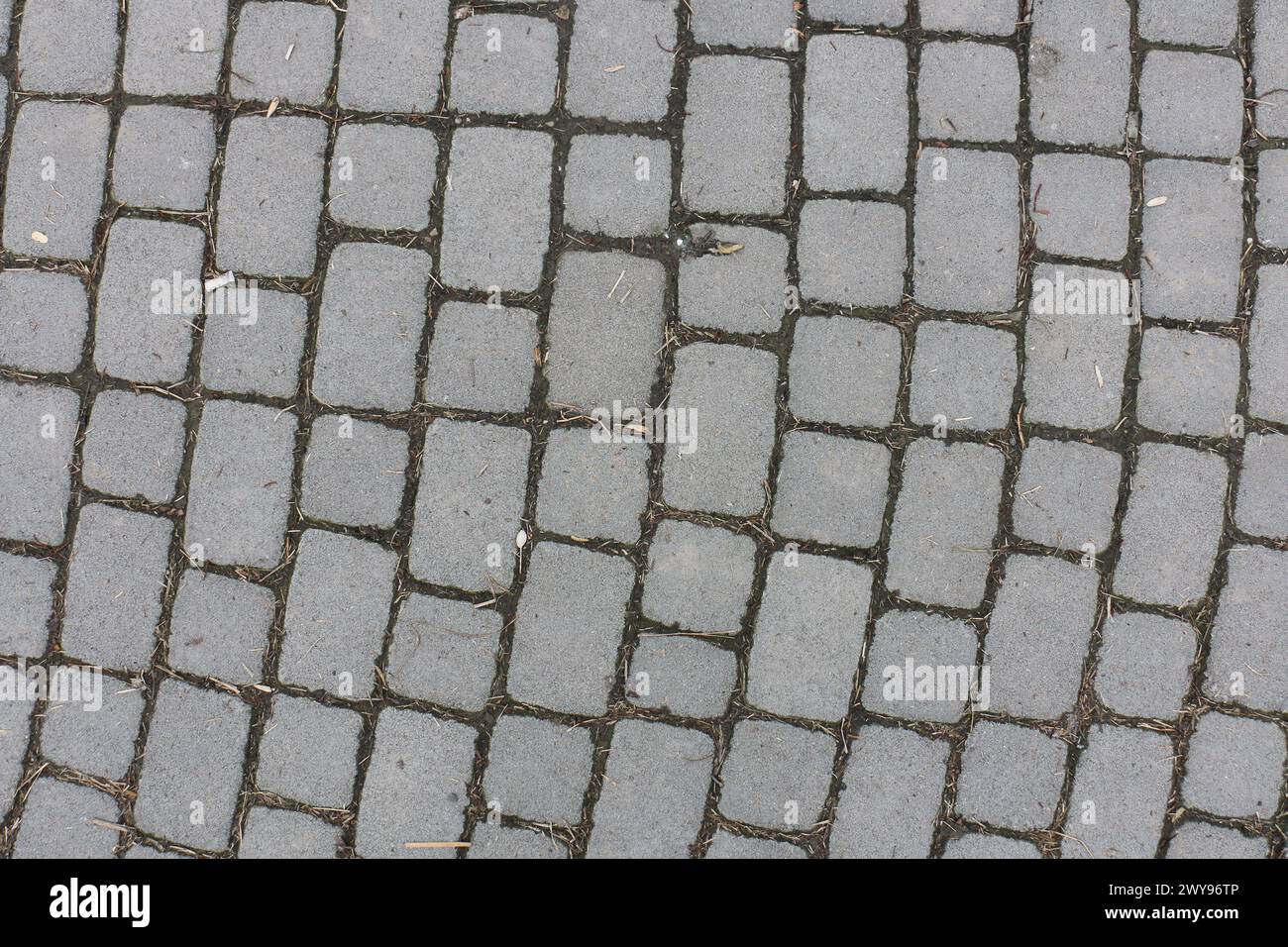 Toutes les textures trouvées près de Beach Pier Like Sand, Moss, Broken Concrete, Painted Metals, Cobblestones, métal rouillé, béton fissuré, béton peint. Banque D'Images