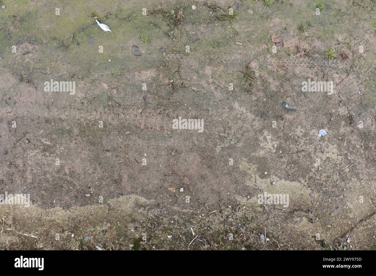 Texture de sol de boue et d'herbe appropriée pour la référence Banque D'Images