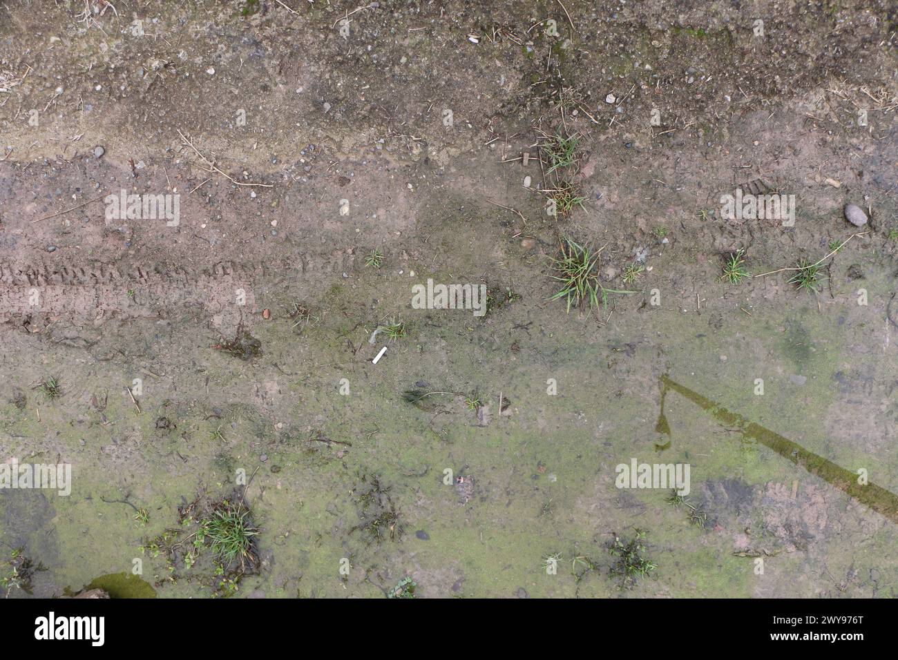 Texture de sol de boue et d'herbe appropriée pour la référence Banque D'Images