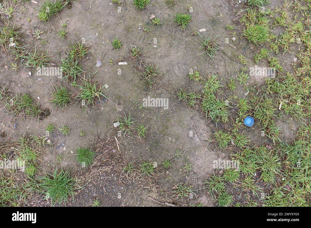Texture de sol de boue et d'herbe appropriée pour la référence Banque D'Images