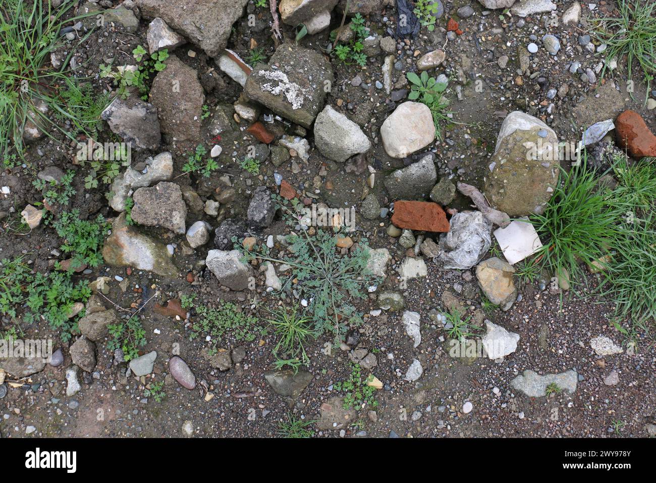 Toutes les textures trouvées près de Beach Pier Like Sand, Moss, Broken Concrete, Painted Metals, Cobblestones, métal rouillé, béton fissuré, béton peint. Banque D'Images