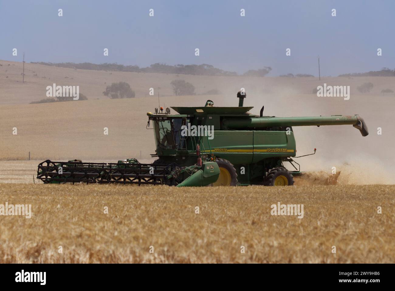 Moissonneuse-batteuse travaillant dans un champ de blé doré avec des nuages de poussière sur un ciel dégagé Banque D'Images