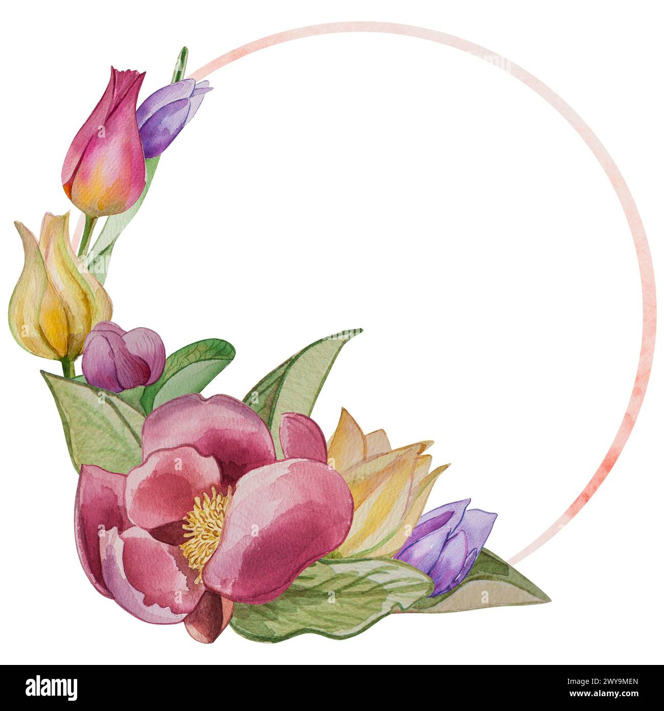 Pivoines roses, tulipes jaunes, primroses lilas, fleurs printanières, pétales et feuilles sont peintes à l'aquarelle sur fond blanc. Pour la conception graphique. Banque D'Images