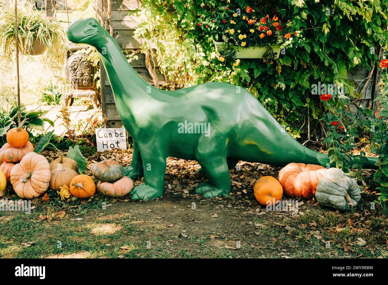 Statue de dinosaure vert entourée de citrouilles et de gourdes Banque D'Images