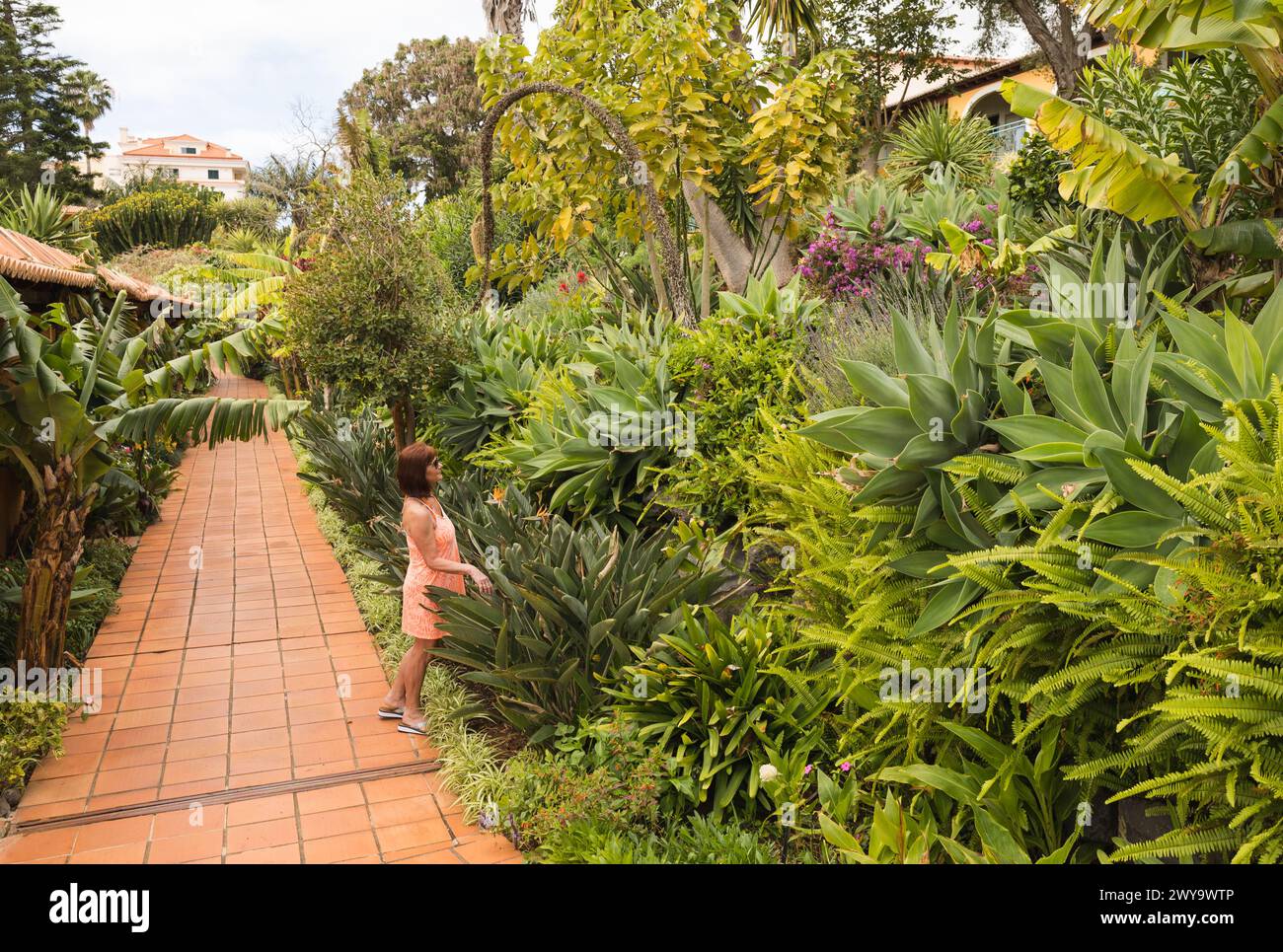Promenade relaxante le long des jardins tropicaux entretenus à l'hôtel de vacances Quinta Splendida Wellness and Botanical Garden, Canico, Madère. Banque D'Images