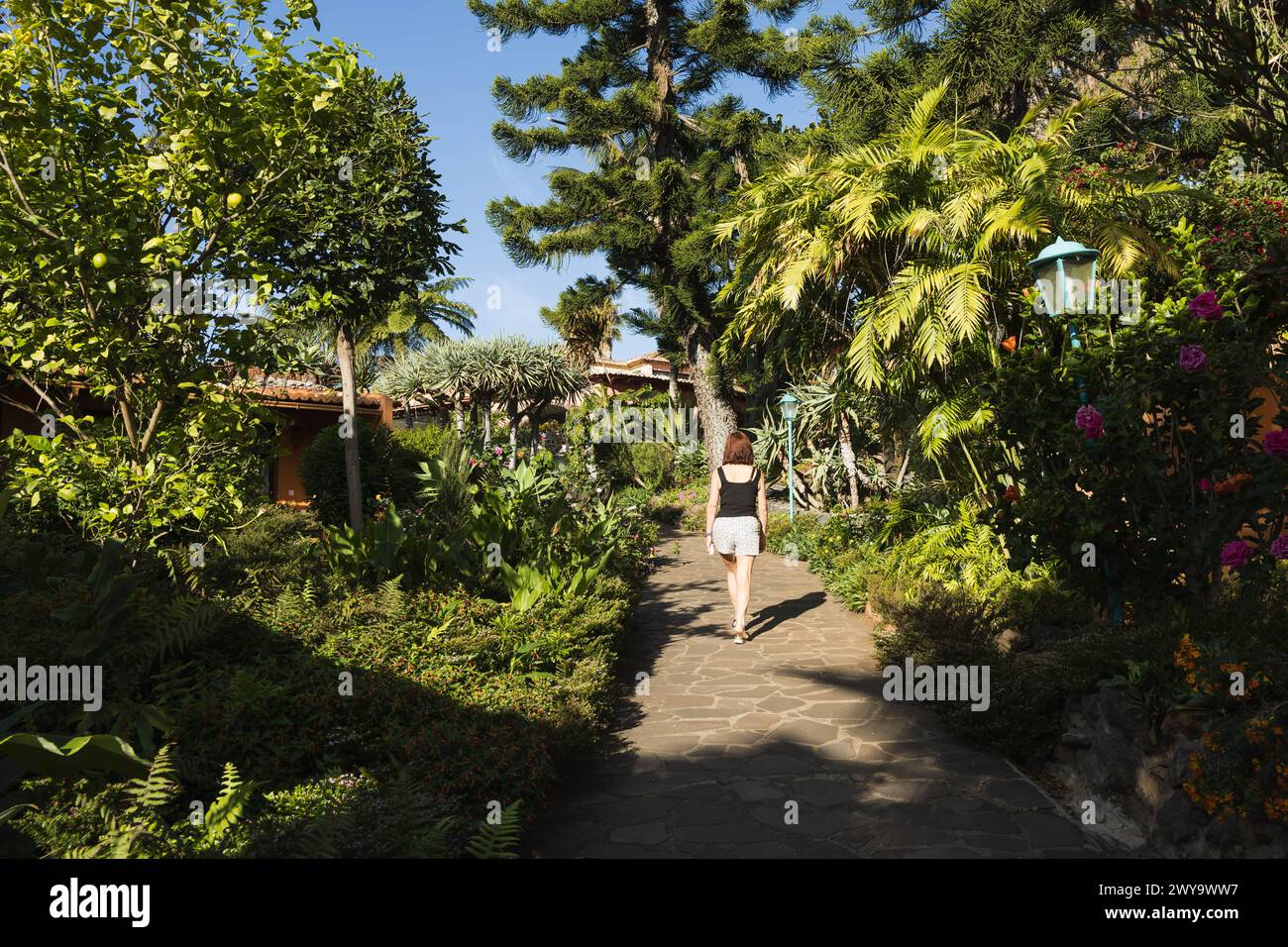 Client marchant le long du chemin avec vue sur le jardin tropical entretenu de chaque côté, à Quinta Splendida Wellness & Botanical Garden hôtel de vacances, Madère. Banque D'Images