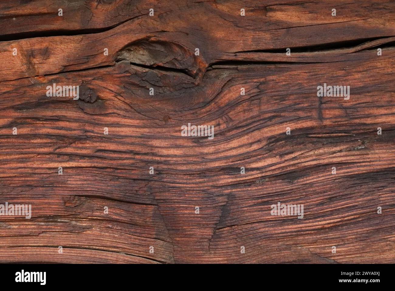 papier peint, planche de bois vintage cuite Banque D'Images