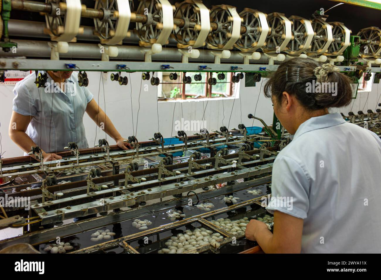 Production de soie dans une usine à Suzhou, Jiangsu, Chine. Banque D'Images