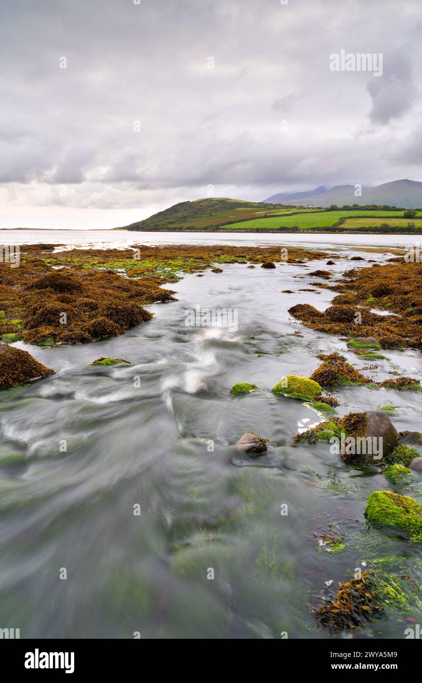 Rive rocheuse de l'estuaire d'Owenmore à Cloghane, comté de Kerry, Irlande Banque D'Images