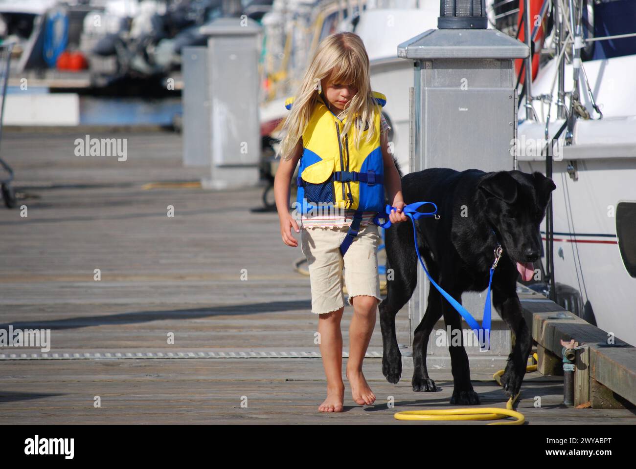 Petite fille marchant avec chien Colombie-Britannique Banque D'Images