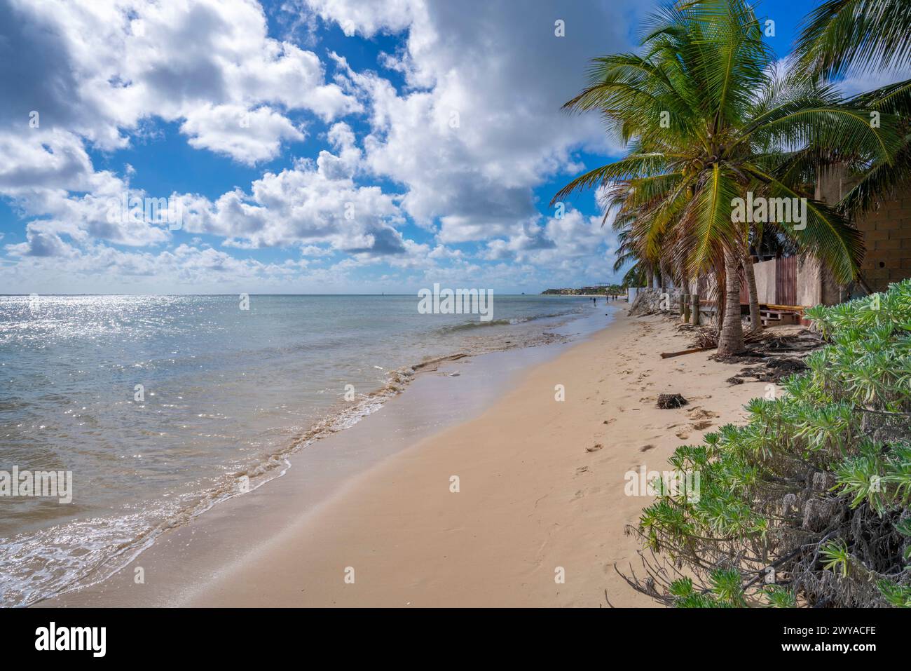 Vue de la plage près de Puerto Morelos, Côte des Caraïbes, péninsule du Yucatan, Mexique, Amérique du Nord Copyright : FrankxFell 844-32715 Banque D'Images