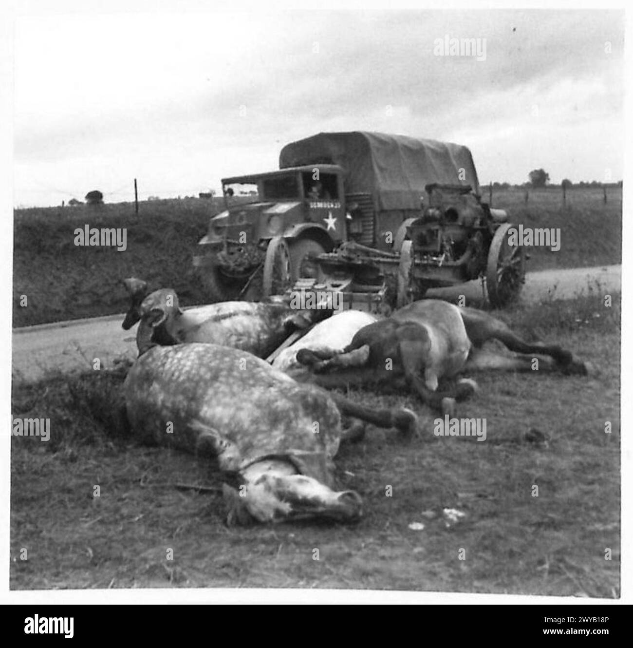 Un chariot d'arme tiré par des chevaux allemands avec l'équipe des chevaux morts gisant sur le bord de la route près de Doullens. Négatif photographique, armée britannique, 21e groupe d'armées. Banque D'Images