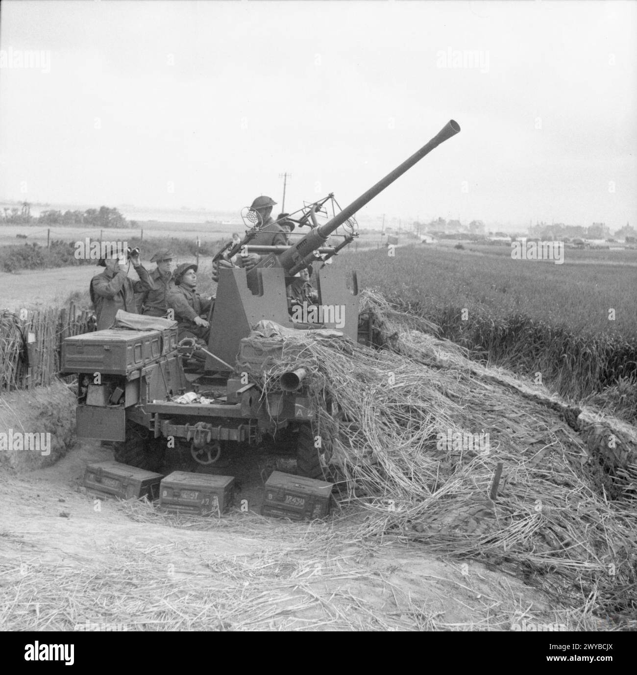 L'ARMÉE BRITANNIQUE DANS LA CAMPAGNE DE NORMANDIE canon Bofors 1944 - 40mm au Hamel, 17 juin 1944. , Banque D'Images