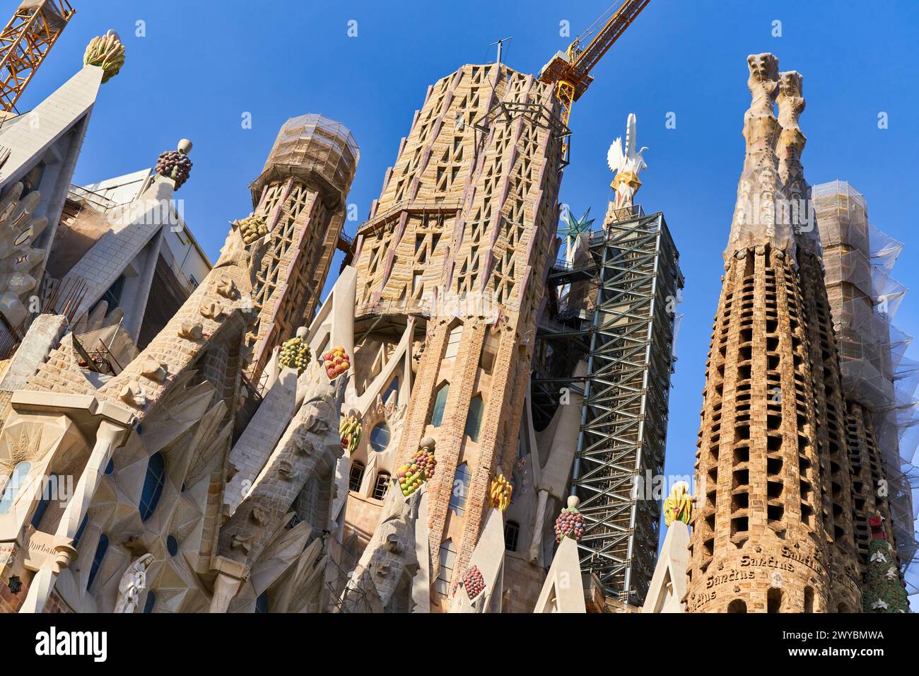 Basilique de la Sagrada Familia. Barcelone. Espagne.la basilique et église expiatoire de la Sainte famille est une grande église catholique romaine de Barcelone, conçue par l'architecte espagnol catalan Antoni Gaudí (18521926). Banque D'Images