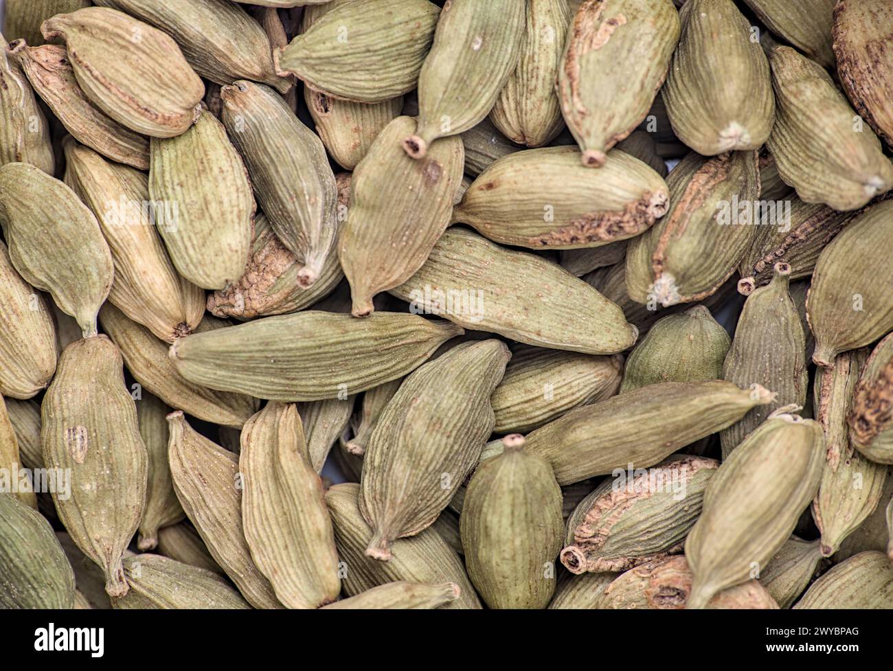 gousses de cardamome vertes dans un tas de gros plan (épices pour la cuisson découpées) nourriture indienne, cuisine du moyen-orient, graines d'épices Banque D'Images