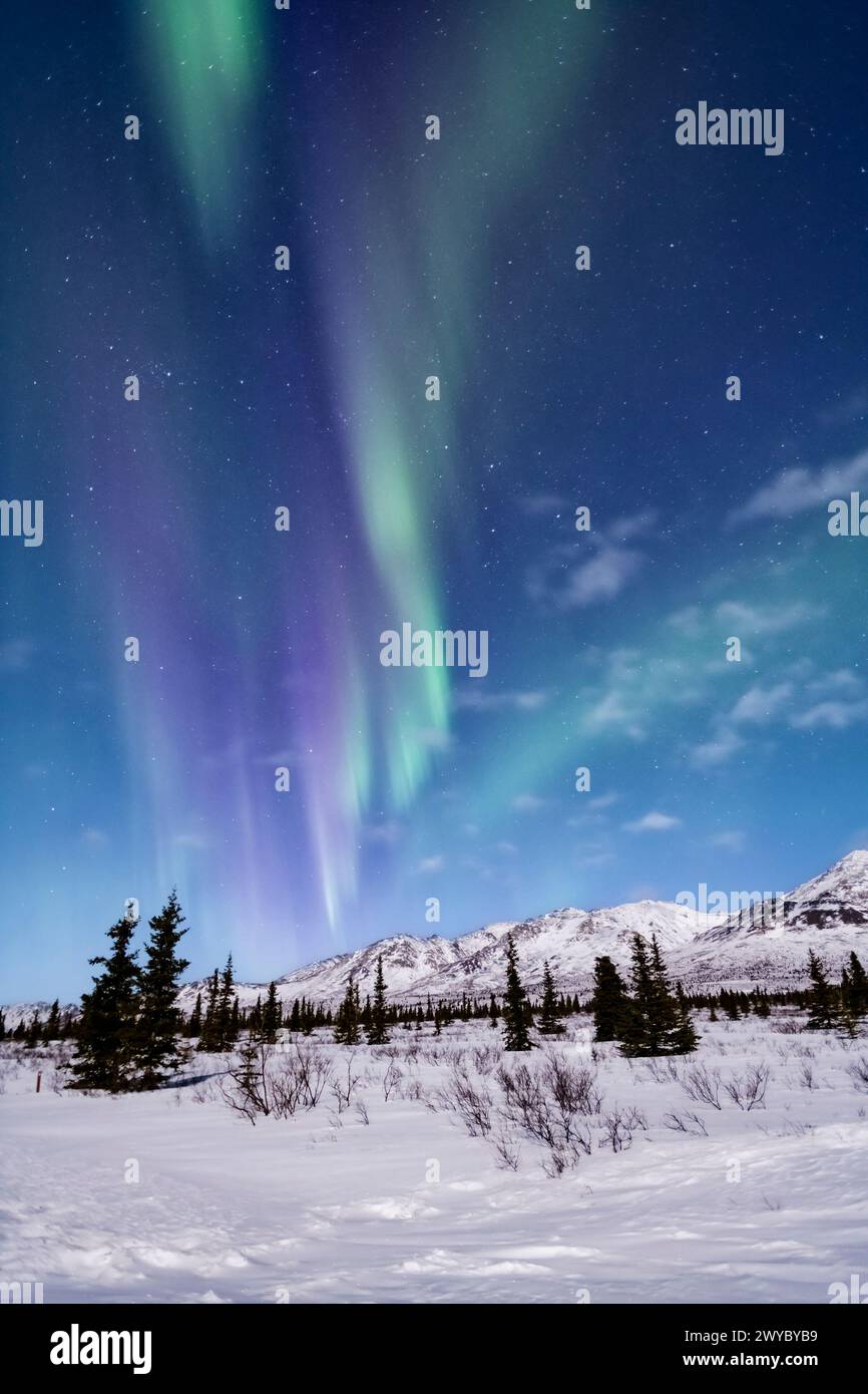 Amérique du Nord ; États-Unis ; Alaska ; Parc national Denali ; Taïga-toundra; hiver ; phénomènes naturels ; ciel nocturne ; Aurora boréale ; aurores boréales; Banque D'Images