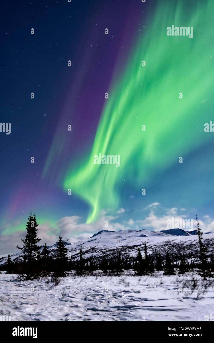 Amérique du Nord ; États-Unis ; Alaska ; Parc national Denali ; Taïga-toundra; hiver ; phénomènes naturels ; ciel nocturne ; Aurora boréale ; aurores boréales; Banque D'Images