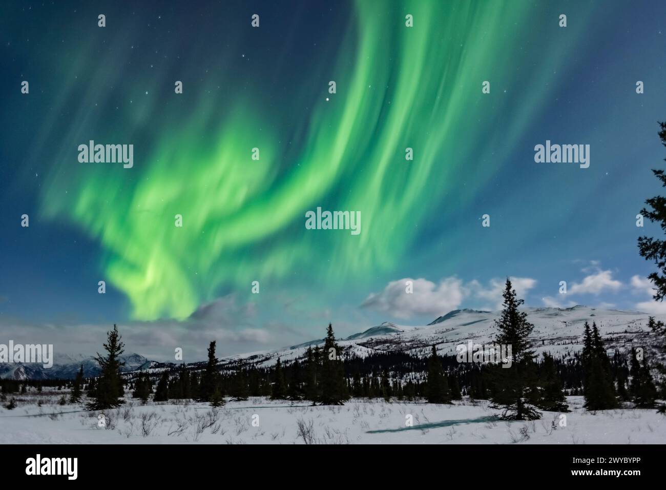 Amérique du Nord ; États-Unis ; Alaska ; Parc national Denali ; Taïga-toundra; hiver ; phénomènes naturels ; ciel nocturne ; Aurora boréale ; aurores boréales; Banque D'Images