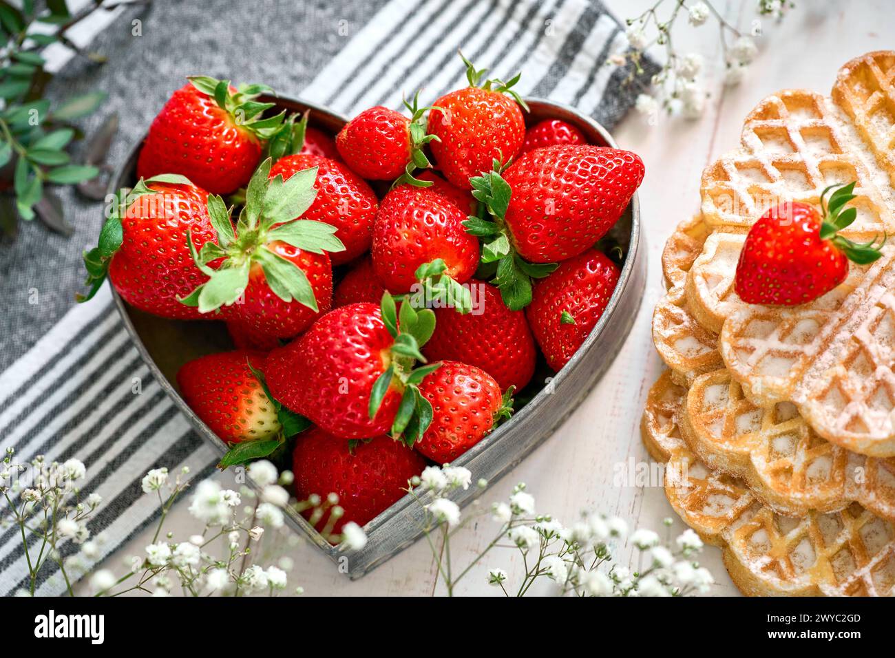 Augsbourg, Bavière, Allemagne - 5 avril 2024 : fraises rouges fraîches décorées en forme de coeur avec des gaufres fraîchement cuites avec du sucre en poudre *** Frische rote Erdbeeren dekoriert in einer Herzform zusammen mit frisch gebackenen Waffeln mit Puderzucker Banque D'Images