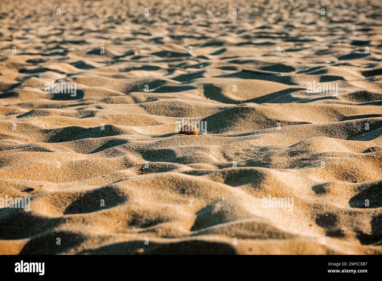 les formes abstraites du sable par une journée ensoleillée Banque D'Images